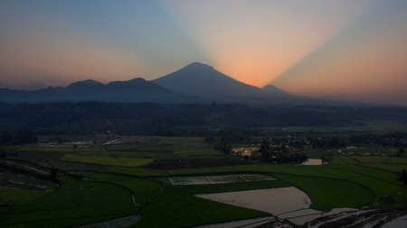 Rice field with Mountain on the background in the sunset time. The Mountain named Mount Sumbing. Kajoran rice field,  Central Java, Indonesiaの写真素材