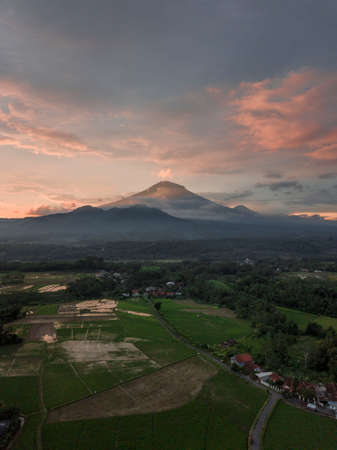 Rice field with Mountain on the background in the morning. The Mountain named Mount Sumbing, Central Java, Indonesiaの写真素材