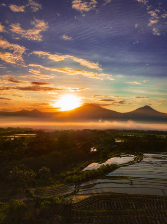 Rural view of Rice field with Mountains on the background in sunrise time. The sky is orange in cloudy weather. Central Java, Indonesiaの写真素材
