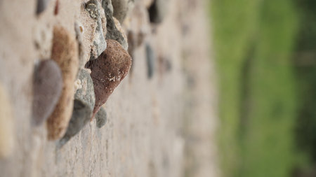 Rocky white sand beach with blurry background. Focus on the rock. Jungwok Beach, Yogyakarta, Indonesiaの写真素材