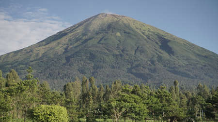 Peak of Sindoro Mountain with slightly foggy weather and blue sky with trees backgroundの写真素材
