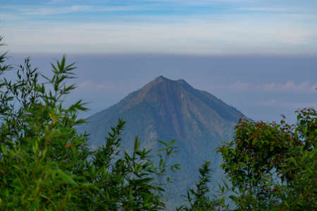 Top of the mountain with leaves of the trees on the foreground. The mountain named Mount Andong with cloudy condition weatherの写真素材