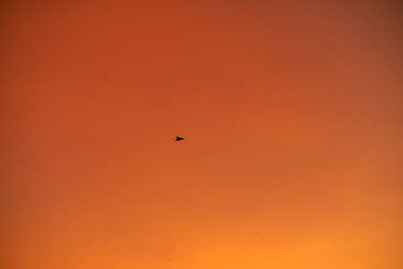 Golden sunrise in cloudy Skyの写真素材