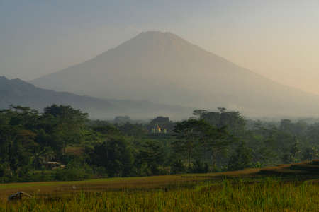 Mosque with golden dome in the middle of rice field and mountain on the background. Kajoran rice...