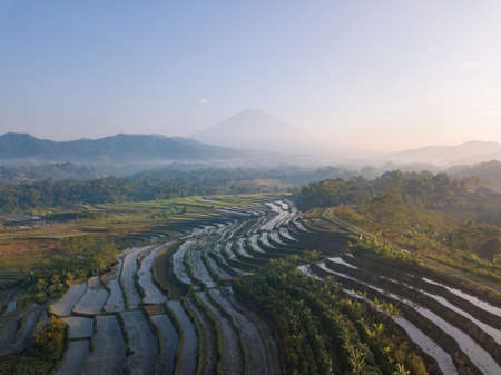 Aerial photo of Beautiful terraced rice fields in the Kajoran Village with Mountain on the background in the morningの写真素材