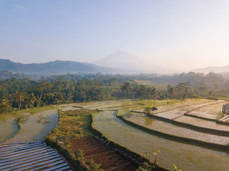 Aerial photo of Beautiful terraced rice fields in the Kajoran Village with Mountain on the background in the morningの写真素材
