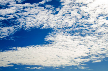 The Cloud