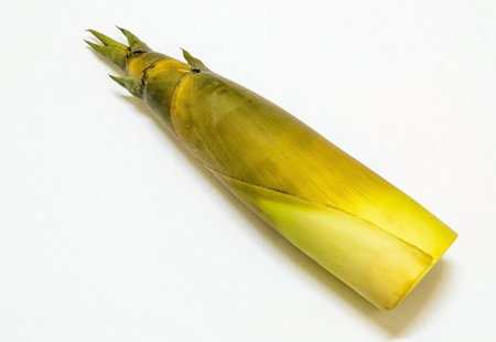 Bamboo shoot for cookingの写真素材