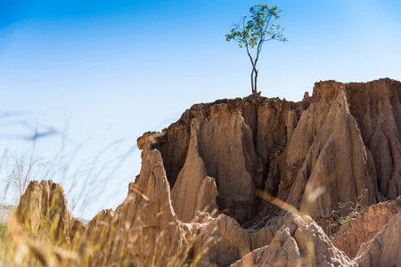 Soil erosion (roadside slope). Roadside hillside