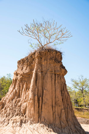 Soil erosion (roadside slope). Roadside hillsideの写真素材