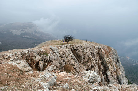 Mountains with dried grass and thorny bushes in the winter Crimeaの写真素材