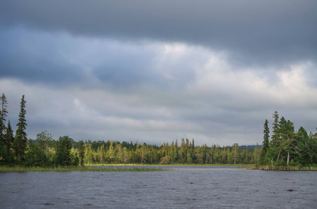 Wooded shore of a large lake. Forests along the coast. Kola Peninsulaの写真素材