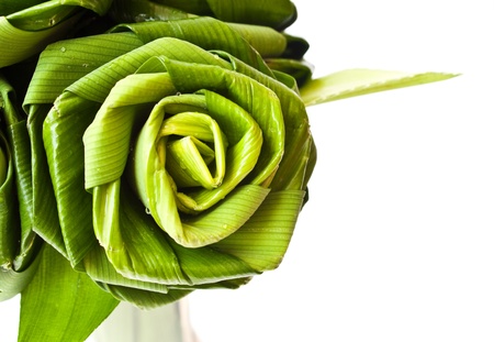 Roses made from Pandanus leafの写真素材
