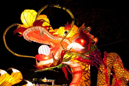 lantern dragon in nighttimeの写真素材