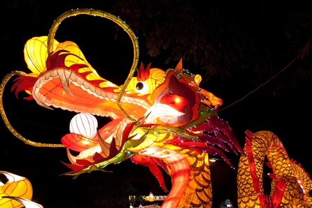 lantern dragon in nighttimeの写真素材