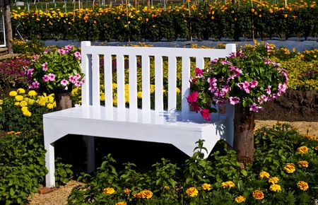 white bench in flowers garden の写真素材