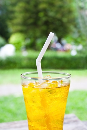 iced chrysanthemum tea  flower tea  on wooden tableの写真素材