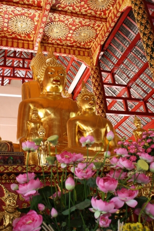 buddha image in Suan Dok temple s Vihara at Chiang Mai, Thailandの写真素材
