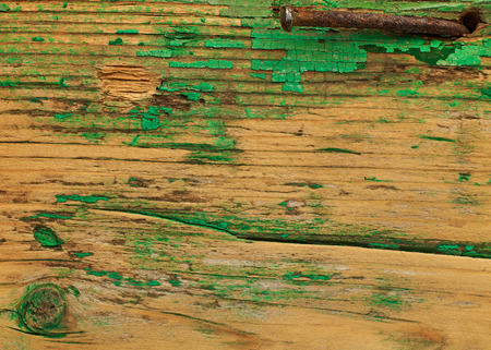 Wood backgroundの写真素材