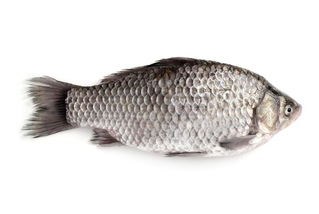 Raw fish