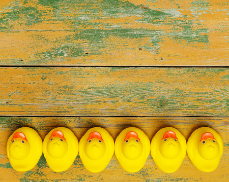 Rubber ducks on woodの写真素材