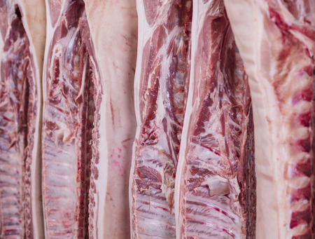 Meat in a rowの写真素材