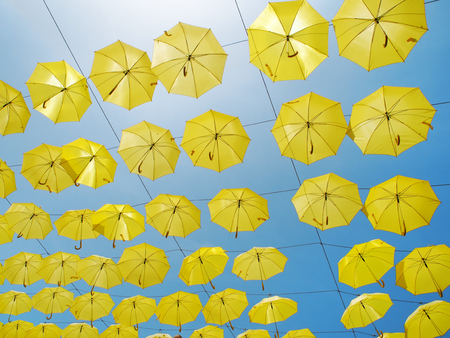 Yellow umbrellas against blue skyの写真素材