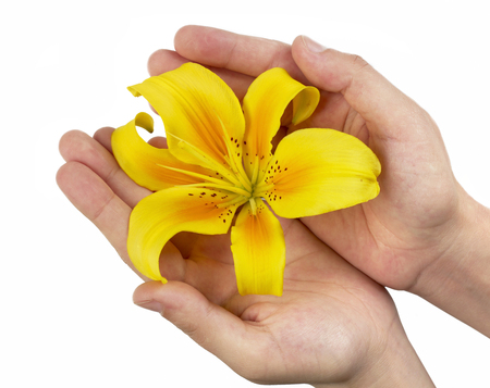 Holding a flowerの写真素材
