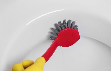 Scrubbing the toiletの写真素材