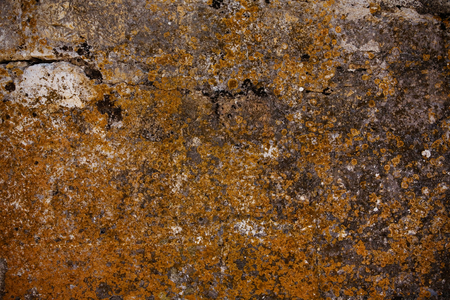 Concrete wall backgroundの写真素材
