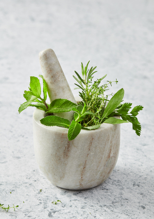 Mortar with fresh herbsの写真素材