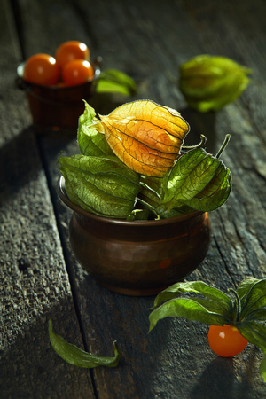 Ripe physalis on woodの写真素材