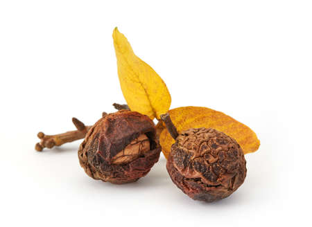 Autumn walnuts isolated on white