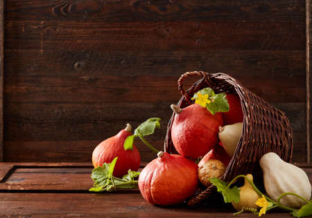 Pumpkins with leafs in a basketの写真素材