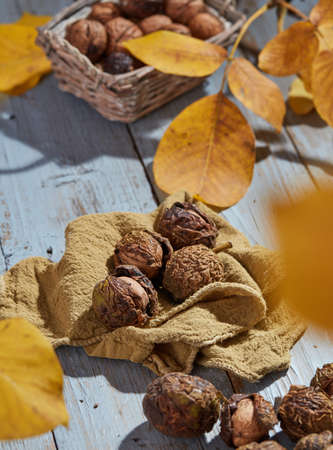 Walnuts with leafs on wooden tableの写真素材