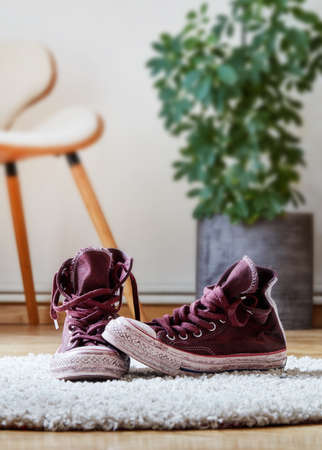 Dirty canvas shoes on carpetの写真素材