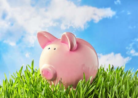 Piggy bank in the grassの写真素材