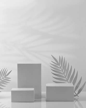 Podium platform for product displayの写真素材