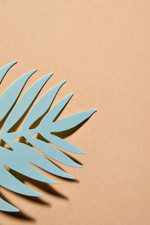 Leaf close-up on paper background