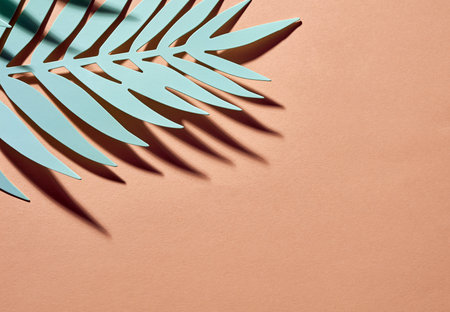Tropical leaf close-up on paper background