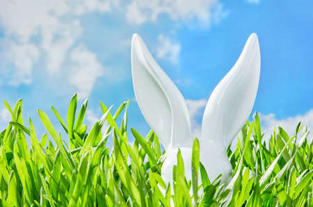 Easter's bunny ears hiding in the grass