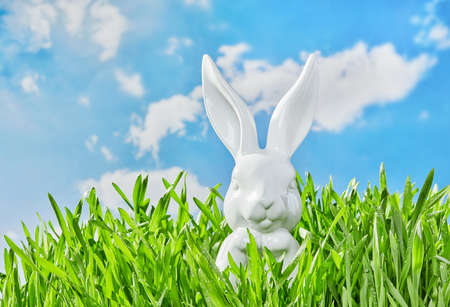 Easter bunny in the grass