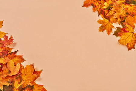 Autumn leaves background on orange backgroundの写真素材