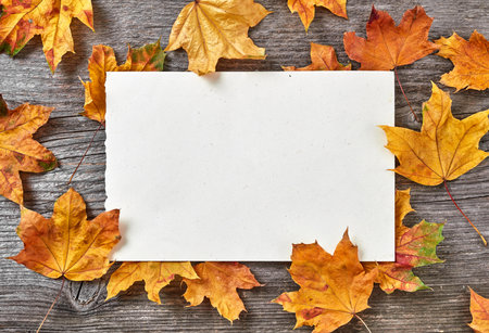 Autumn banner on wooden backgroundの写真素材
