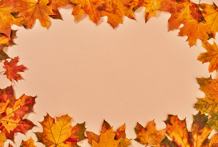 Dry autumn leaves frame on orange backgroundの写真素材