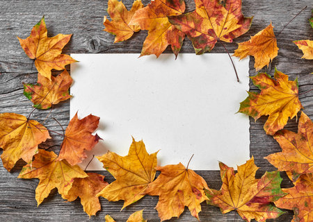 Autumn leaves banner on wooden background