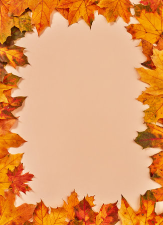 Dry autumn leaves frame on orange backgroundの写真素材