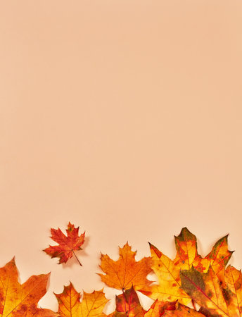 Orange dry leaves on orange backgroundの写真素材