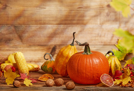 Autumn decoration on wooden backgroundの写真素材