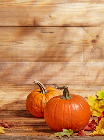 Orange autumn pumpkins on wooden backgroundの写真素材